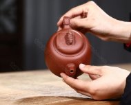 《靈龍納?！? title=
