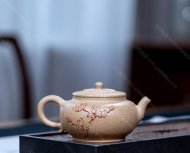 玉蘭花開(kāi)