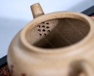 玉蘭花開(kāi)